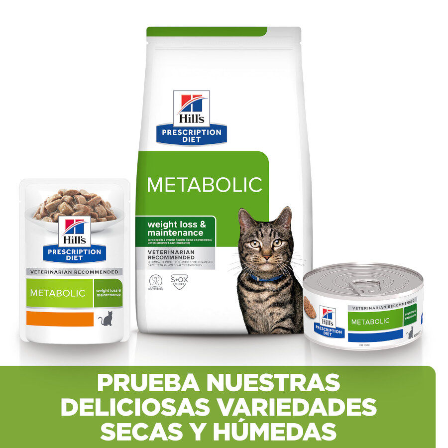 82 g Hill's Prescription Diet Metabolic Estofado de Pollo y Vegetales lata para gatos, , large indicador imagen numero 6